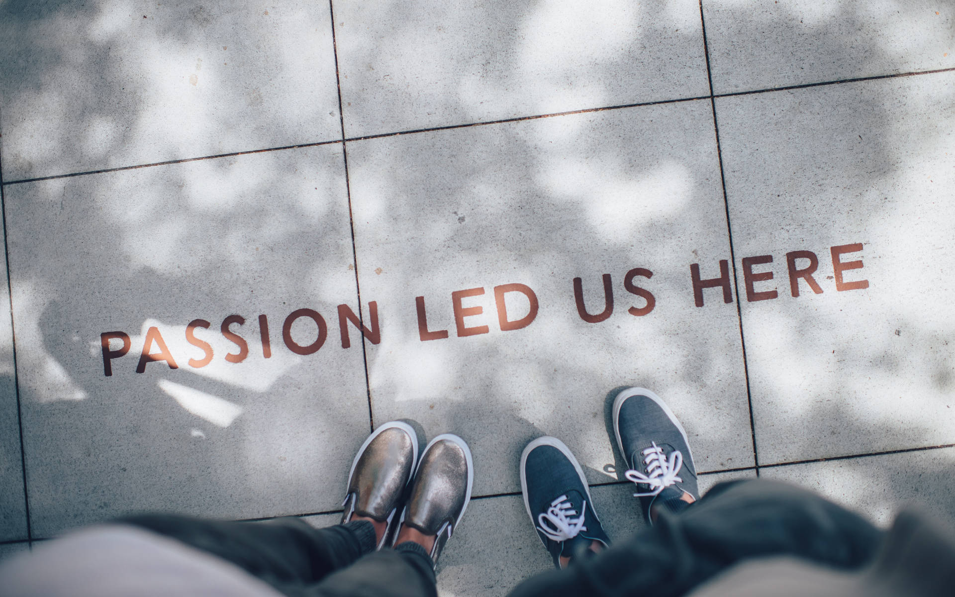 Photo by Ian Schneider on Unsplash